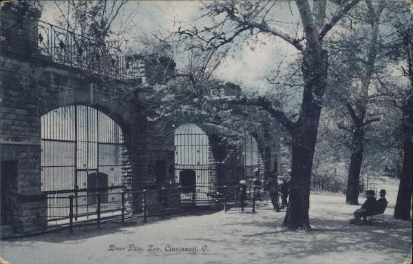 Bear Pitts at the Cincinnati Zoo Ohio