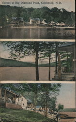 Scenes at Big Diamond Pond Postcard