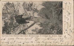 National Sportsman Headquarters Postcard