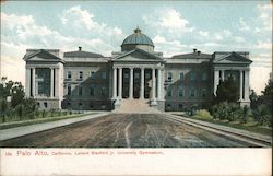 Leland Stanford Jr. University Gymnasium Postcard