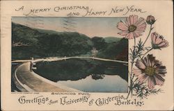 Swimming Pool, University of California Berkeley, CA Postcard Postcard Postcard