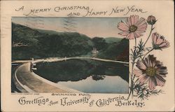 Swimming Pool, University of California Postcard