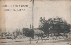 Looking for a Home, Chelsea Massachusetts Postcard Postcard Postcard