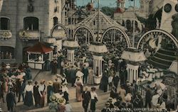 Luna Park, Coney Island Postcard
