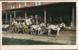 Park Stage at Mammoth Hot Spring Postcard