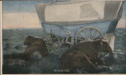 Nooning - Ezra Meeker and his oxen (Twist and Dave) Postcard