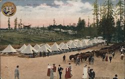 Military Encampment and South Gate Seattle, WA Postcard Postcard Postcard