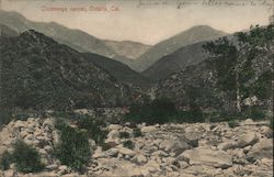 Stock #980473 Thumbnail