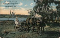 Cleaning the Ground on San Jacinto Battlefield Postcard