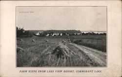 Farm Scene from Lake View Resort, Cormorant Lake Lien, MN Postcard Postcard Postcard