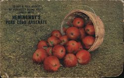 Hemingway's London Purple Company Postcard