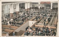 Stock #980815 Thumbnail