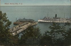 Wharf, Murray Bay Postcard