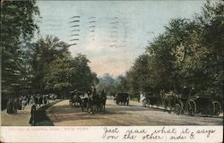 Stock #980877 Thumbnail