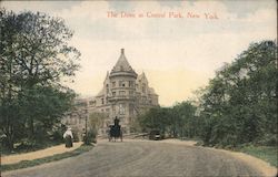 The Drive in Central Park, New York Postcard