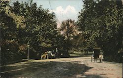 Drive Way 74th Street, Central Park Postcard