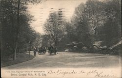 Drive in Central Park New York City Postcard