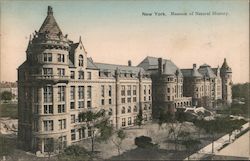 Stock #980887 Thumbnail