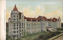 Museum of Natural History Postcard