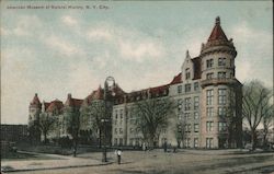 American Museum of Natural History Postcard