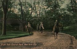 Bridle Path in Central Park Postcard