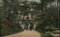 Echo Bridge, Central Park Postcard
