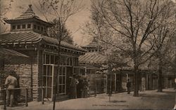 Bird Cages at the Zoo Postcard