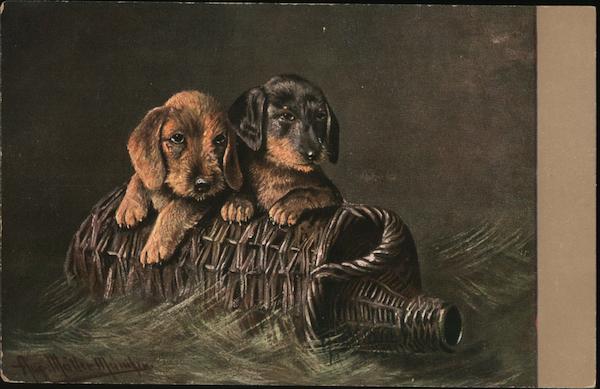 Two Dogs holding on to a floating wicker bottle
