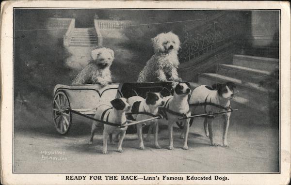 Linn's Famous Educated Dogs