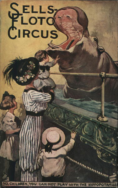 Hippopotamus, Sells-Floto Circus