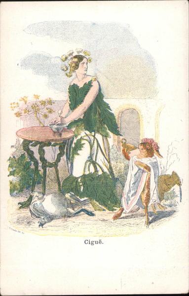 Ciguë, Hemlock - Flowers Personified Grandville Artist Signed