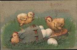 Chicks with Eggs in Slipper With Chicks Postcard Postcard Postcard