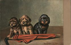 Three Puppies and a Red Umbrella Dogs Postcard Postcard Postcard