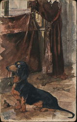 Painting of a Dachshund Postcard
