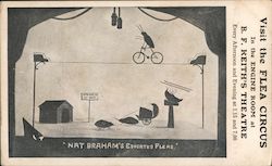 Nat Braham's Educated Flea Circus Postcard