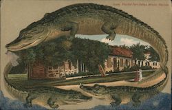 Old Fort Dallas - Alligator Border S506 Postcard