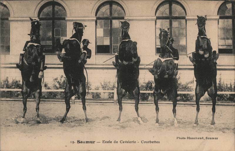 Saumur - Ecole de Cavalerie Courbettes Photo Blanchard