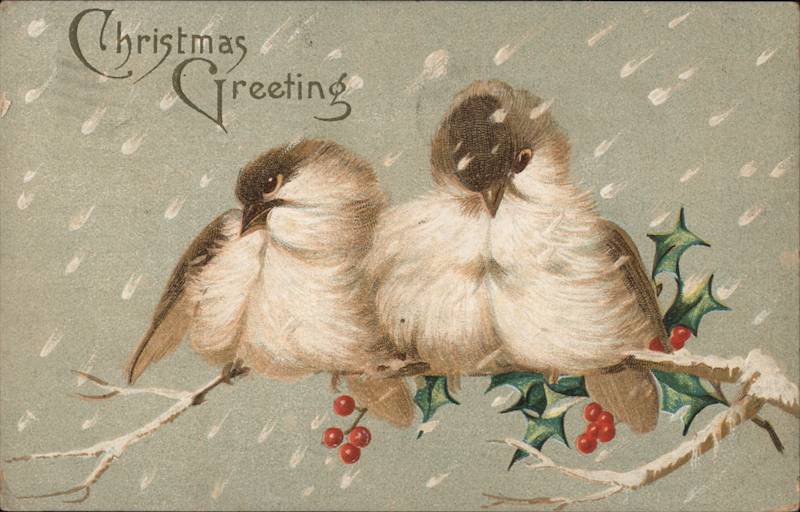 Christmas Greeting - Birds in the Tree