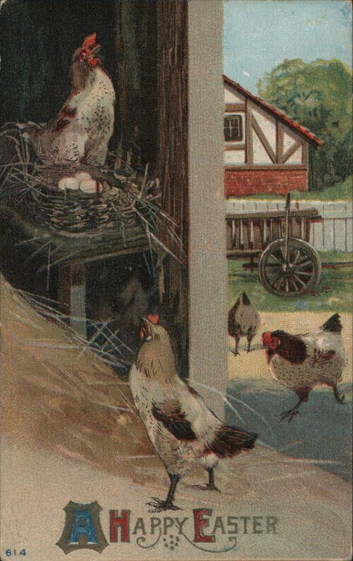 A Happy Easter - Chickens in the Farm With Chicks