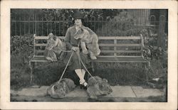 Older Woman with Four Lions on Leashes Postcard