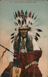 1537 - Yellow Horse of the Ponca Tribe Postcard
