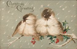 Christmas Greeting - Birds in the Tree Postcard