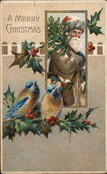 A Merry Christmas - Santa and Birds Postcard