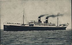 Fabre Line S.S. Madonna Postcard