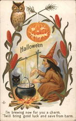 Hallowe'en I'm Brewing Now For You A Charm, It Will Bring Good Luck And Keep You From Harm Halloween Postcard Postcard Postcard