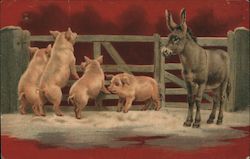 Four Pigs and a Donkey Postcard Postcard Postcard