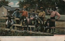 The Mule Race At Coonville Black Americana Postcard Postcard Postcard