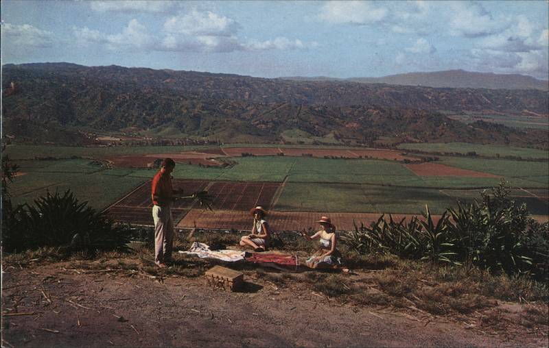 View od an extensive sugar meadow in one of the most beautiful coastal plains in Puerto Rico.