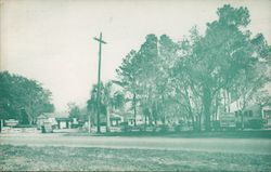 Shepard's The Family Court Postcard