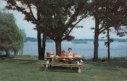 Marshbank Metropolitan Park - Picnic Overlooking Cass Lake Pontiac, MI James Mcgarrigle Postcard Postcard Postcard